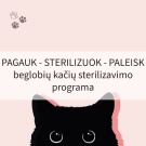 „Pagauk – sterilizuok – paleisk“: beglobių kačių sterilizavimo programa Lietuvoje